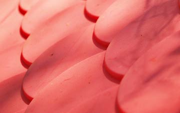 Great Oxendon plastic roof costs