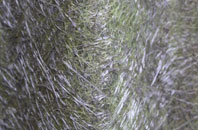 Great Oxendon fibreglass roof work